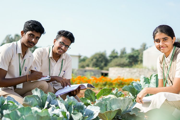 Educational Initiatives